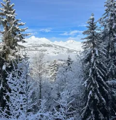 Vue extérieure au chalet