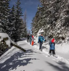 Sneeuwwandelparcours Alpages Enchantés
