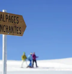 Betoverend parcours