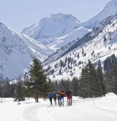 Langlauflessen