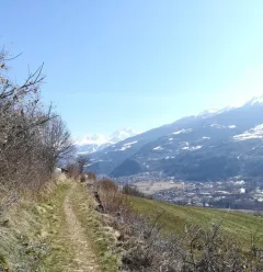 Wandelpaden: 4 seizoenen wandelpaden