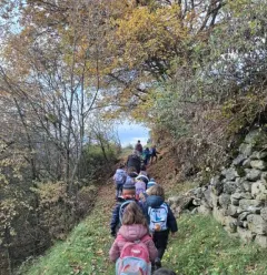Wandelpaden: 4 seizoenen wandelpaden