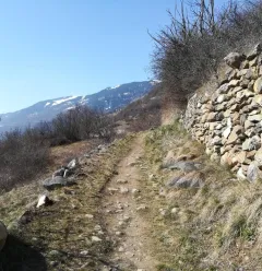 Wandelpaden: 4 seizoenen wandelpaden