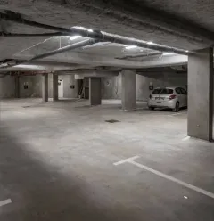 LE GRAND BOUQUETIN