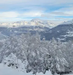 Domein "Loisirs Nordiques" van Prachanié - Granier_Aime-la-Plagne
