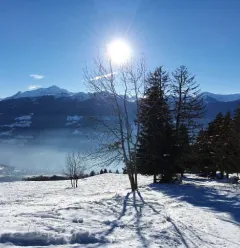 Sentiers raquettes à l'Espace nordique et de loisirs de Granier