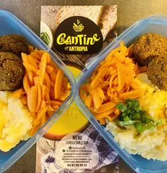 Boulettes aux légumes, purée de pdt, carottes râpées