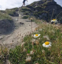 Trail vers la Tête du Jarset