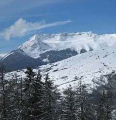 Uitzicht 's winters vanuit de studio