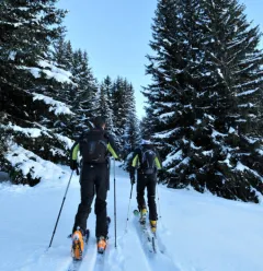 Itinéraire ski de randonnée : Les Coches - Plan Bois