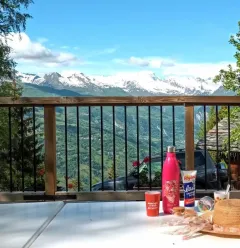 terrasse du bas en été