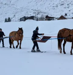 Le Chalet des Vignobles op P'tit Ranch_Champagny-en-Vanoise