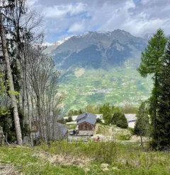 Chalet l'été