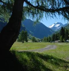 Petanqueterrein - Camping Le Canada