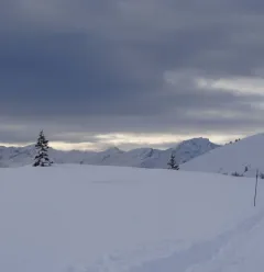 La Rossa sneeuwschoenwandelen route