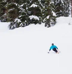 Handiski - Zittend skiën