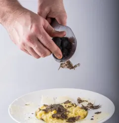 pates truffe.jpg