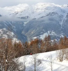 Chemin de Montgésin