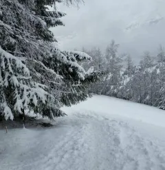 Traject met sneeuwschoenen "La Pierra"