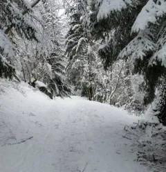 Traject met sneeuwschoenen "La Pierra"