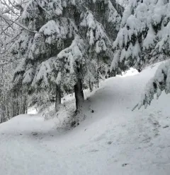Traject met sneeuwschoenen "La Pierra"