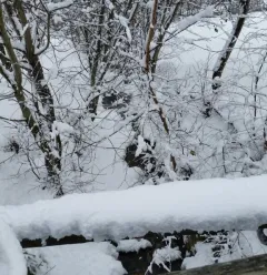 Traject met sneeuwschoenen "La Pierra"