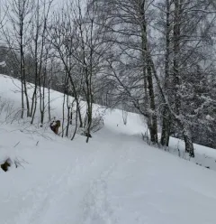 Traject met sneeuwschoenen "La Pierra"