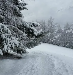 Traject met sneeuwschoenen "Montchavin-Les Coches via Praz Salvard"