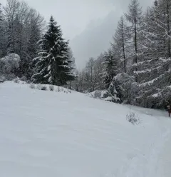 Traject met sneeuwschoenen "Montchavin-Les Coches via Praz Salvard"