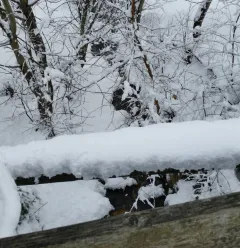 Traject met sneeuwschoenen "Montchavin-Les Coches via Praz Salvard"