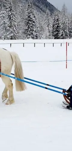 Pony slee_Champagny-en-Vanoise