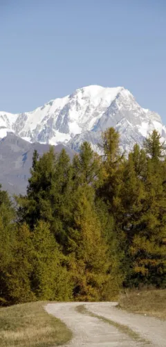 Panorama op de Mont Blanc
