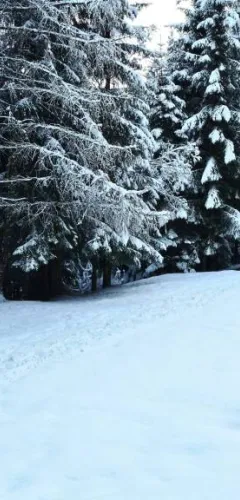 Sneeuwschoen/wandelpad - Bonvillard, Producentenpad_Aime-la-Plagne