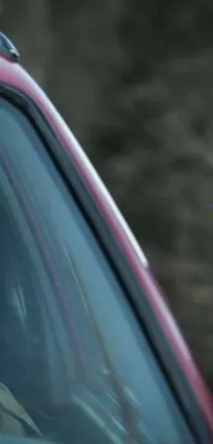 Film "Un ours dans le jura" (Een beer in de Jura)_Champagny-en-Vanoise