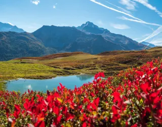 Wandelroute : Het meer van Carroley_Montchavin-les-Coches