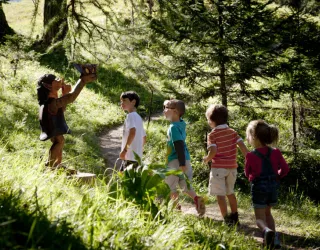 De Betoverende Alpenweiden