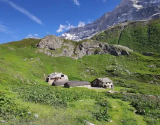 A la découverte des Glaciers