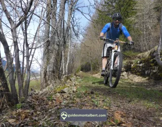 Gidsenbureau La Plagne Montalbert
