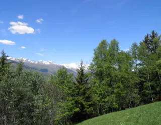 De weg naar la Pierra