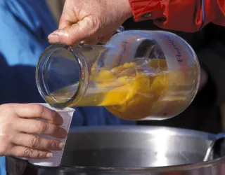 Welkomstdrankje