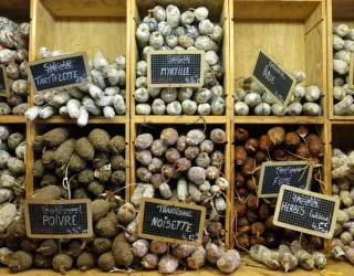 Terroir en traditie