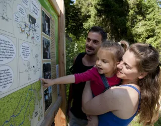 Biodiversiteit zomer