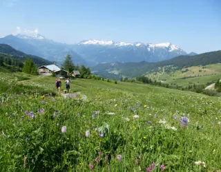 Grand Tour de Tarentaise - Wandelen 27 dagen