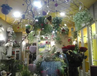 M'Fleur
