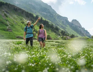 Wandelroute: Sentier du Plateau de Plan Pichu (Plan Pichu plateau wandelroute)_Aime-la-Plagne