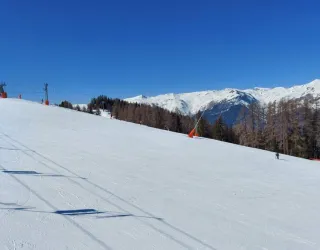 Beginnerszone Kikker