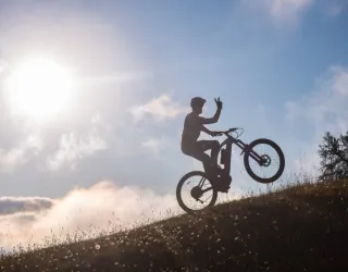 Elektrische mountainbike