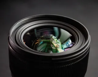 Begeleid uitje: kennismaking met natuurfotografie