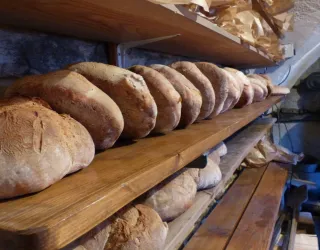 Partij brood en broodjes