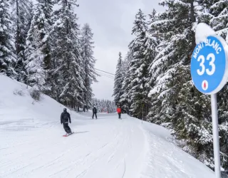 Mont Blanc piste